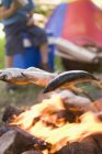 Vista de primer plano de pescado a la parrilla sobre fuego de campamento - foto de stock