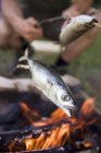 Parrilla de pescado sobre fuego de campamento - foto de stock