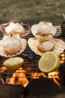 Closeup view of scallops and lemon pieces on barbecue — Stock Photo