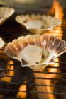 Closeup view of scallops in valves on barbecue grating — Stock Photo