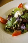 Салат з змішаних зеленню — стокове фото