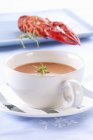 Closeup view of crayfish soup with herb — Stock Photo