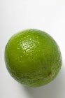 Fresh whole lime — Stock Photo