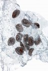 Coffee beans in block of ice — Stock Photo