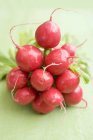 Bouquet de radis frais cueillis — Photo de stock