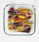Raíz Verduras en tazón de vidrio - foto de stock