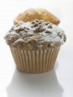 Nut muffin sprinkled with icing sugar — Stock Photo