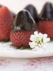 Fragole fresche immerse nel cioccolato — Foto stock