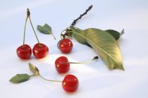Cherries with green leaves — Stock Photo