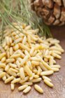 Pile of pine nuts with pine cone — Stock Photo