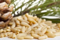 Pine nuts in heap — Stock Photo