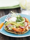 Barbecue Chicken Tostada with Avocado and Radish on blue plate with fork — Stock Photo