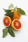 Blutreife Orangen mit Blättern — Stockfoto