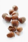 Several hazelnuts on white background — Stock Photo