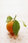 Frische Orange mit Blättern — Stockfoto