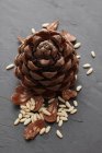Pine cone and nuts — Stock Photo
