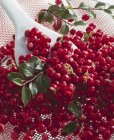 Cowberry freschi con foglie — Foto stock