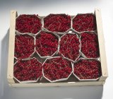 Groseilles rouges fraîches mûres — Photo de stock