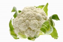 Cauliflower, close up view — Stock Photo