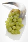 Raisins verts en corne — Photo de stock