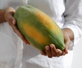 Manos femeninas sosteniendo papaya - foto de stock
