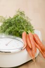 Fresh ripe carrots on scales — Stock Photo