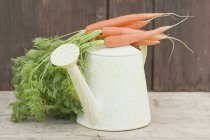 Watering can with carrots — Stock Photo