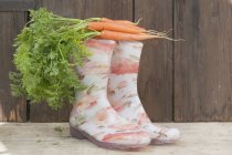 Carrots on rubber boots — Stock Photo