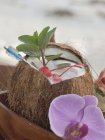 Открыт кокос с мятой и орхидеей — стоковое фото