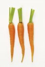 Zanahorias frescas maduras con tallos - foto de stock