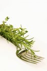 Sprigs of rosemary and thyme on fork — Stock Photo