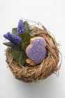 Biscuit en forme de poussin violet — Photo de stock