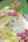 Вид сверху на белую водяную лилию на куче бумажных тарелок — стоковое фото