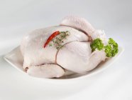 Chicken with herbs and chilli — Stock Photo