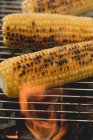Спелые кукурузные початки на барбекю — стоковое фото