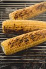 Зрізати кукурудзяний плащ на барбекю — стокове фото