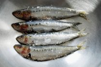 Sardines fraîches saupoudrées de sel — Photo de stock