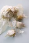 Garlic bulb and individual garlic cloves — Stock Photo