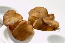 Gelatina fungo in un piatto di porcellana — Foto stock