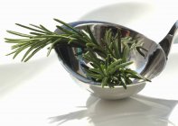 Sprigs of rosemary in ladle — Stock Photo