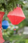 Vista diurna di lanterne cinesi colorate in giardino — Foto stock