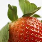 Fresh ripe strawberry — Stock Photo