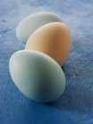 Cotswold Legbar hens eggs — Stock Photo