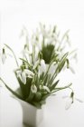 Nahaufnahme von Schneeglöckchen in zwei Vasen auf weißem Hintergrund — Stockfoto