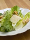 Caesar-Salat mit Parmesan — Stockfoto
