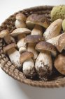 Белые грибы в корзине крупным планом — стоковое фото