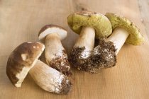 Чотири Свіжезібрані гриби білі — стокове фото