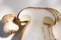 Small cep beside large cep slices — Stock Photo