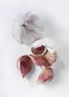 Garlic bulbs intact and broken — Stock Photo
