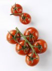 Cocktail tomatoes on vine — Stock Photo